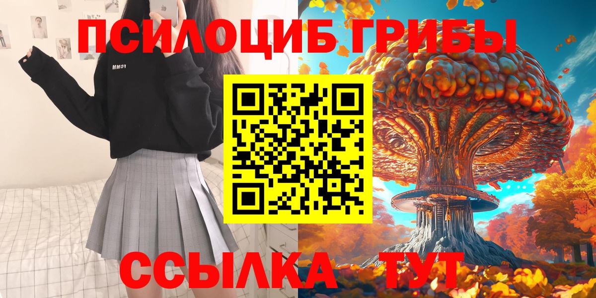 Петропавловск-Камчатский  Псилоцибиновые грибы Cubensis  Вход с VPN  Псилоцибиновые грибы Cubensis 